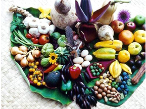 農產品溯源系統具有哪些優勢？